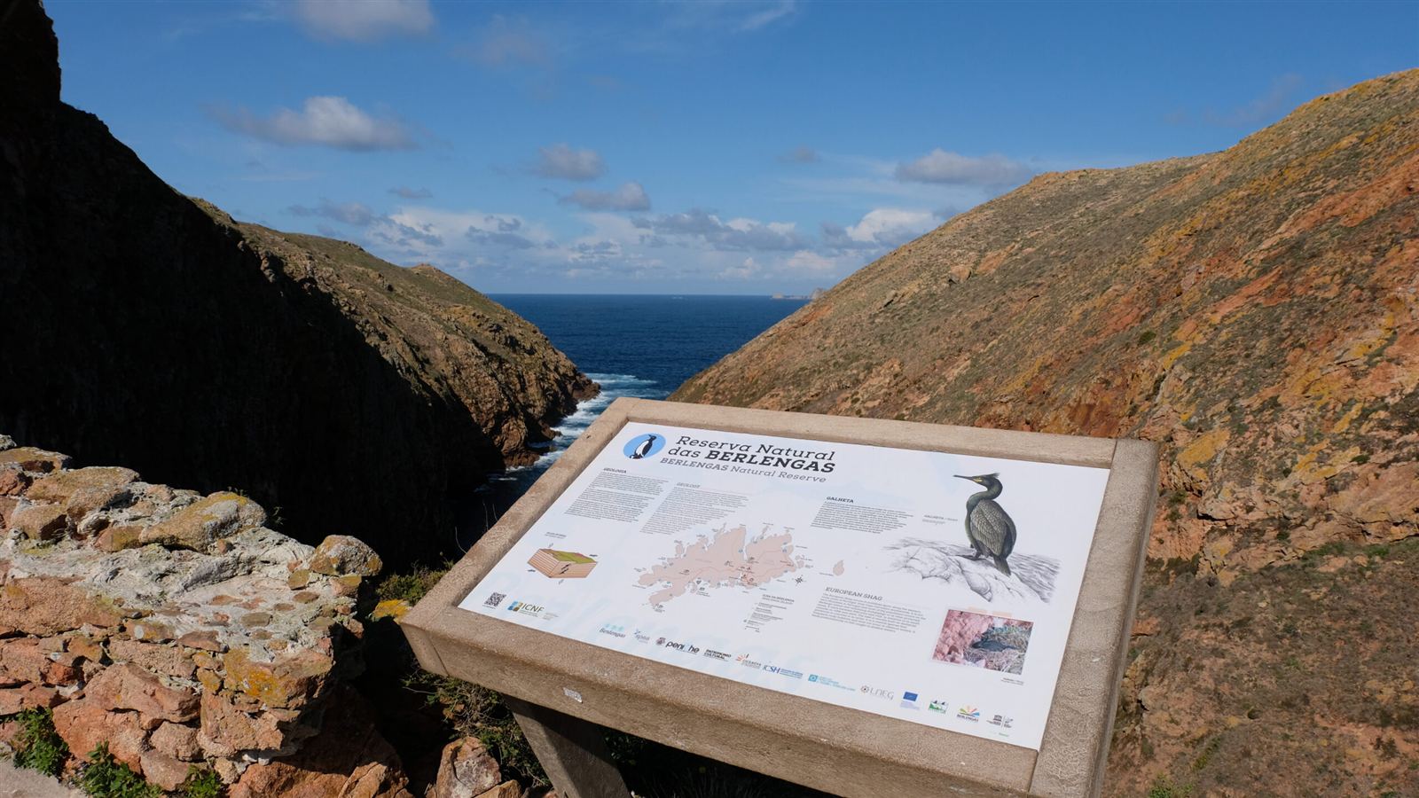 Visit the most important attractions on the Berlenga island including the São João Baptista Fort